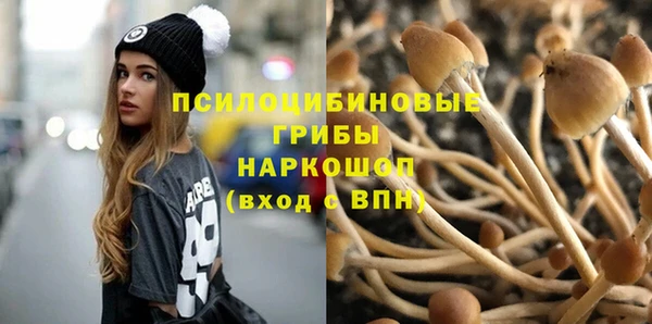 скорость Алексин